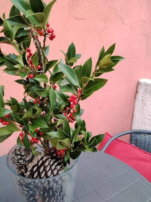 Le Petit Charrier Apartment Aix-en-Provence